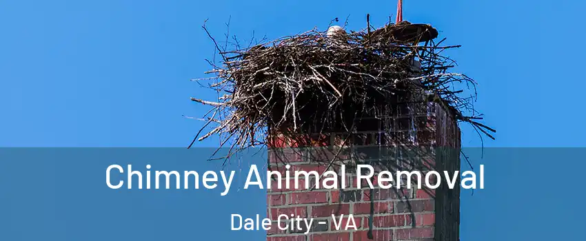 Chimney Animal Removal Dale City - VA