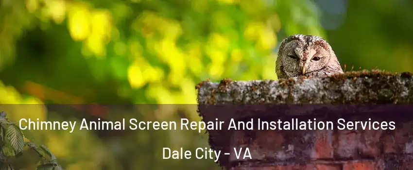  Chimney Animal Screen Repair And Installation Services Dale City - VA