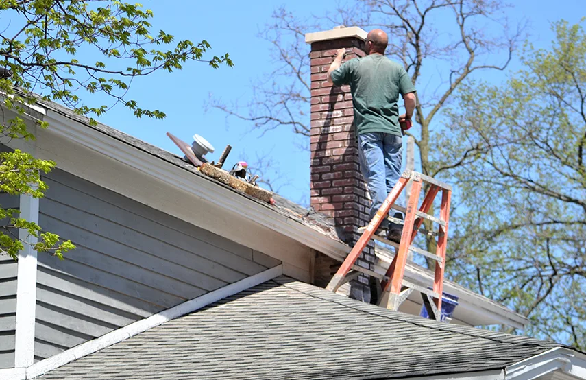 Chimney & Fireplace Inspections Services in Dale City, VA
