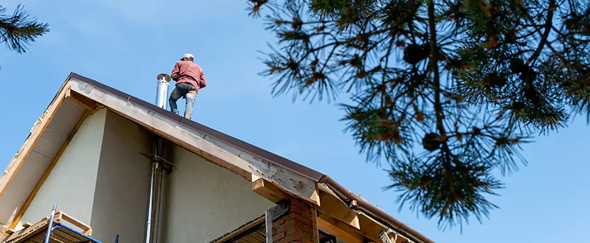 Birds Removal Contractors from Chimney in Dale City, VA