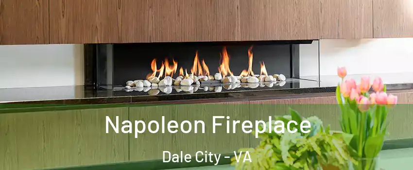  Napoleon Fireplace Dale City - VA